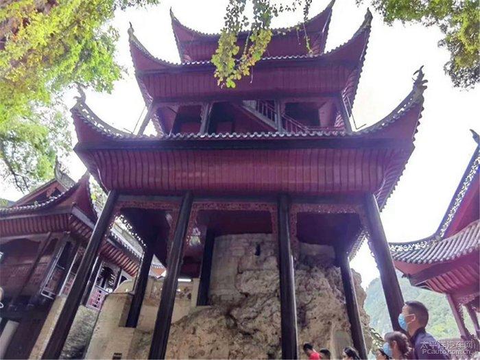 合金装备：幸存